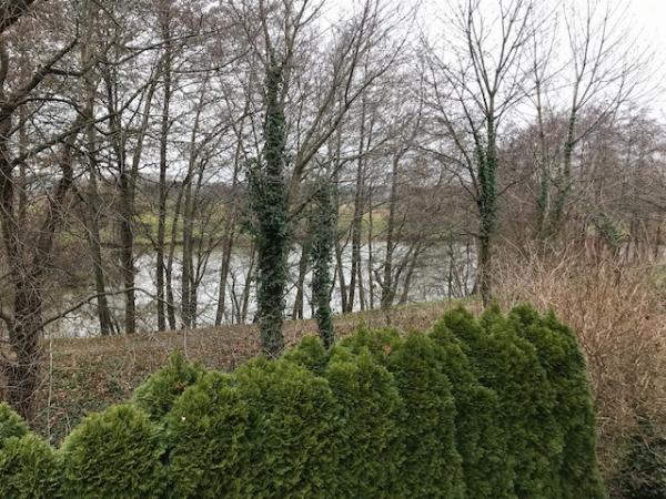 Aussicht auf das Wasser 